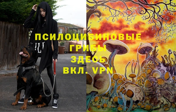 МДМА Абдулино